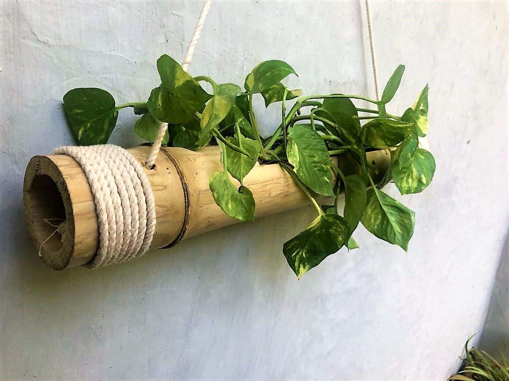 Hanging Bamboo Planters with Adjustable Rope - Natural Bamboo Stand & Pot for Indoor Plants - Perfect for Home Decor, Balcony, and Garden - Pack of 1