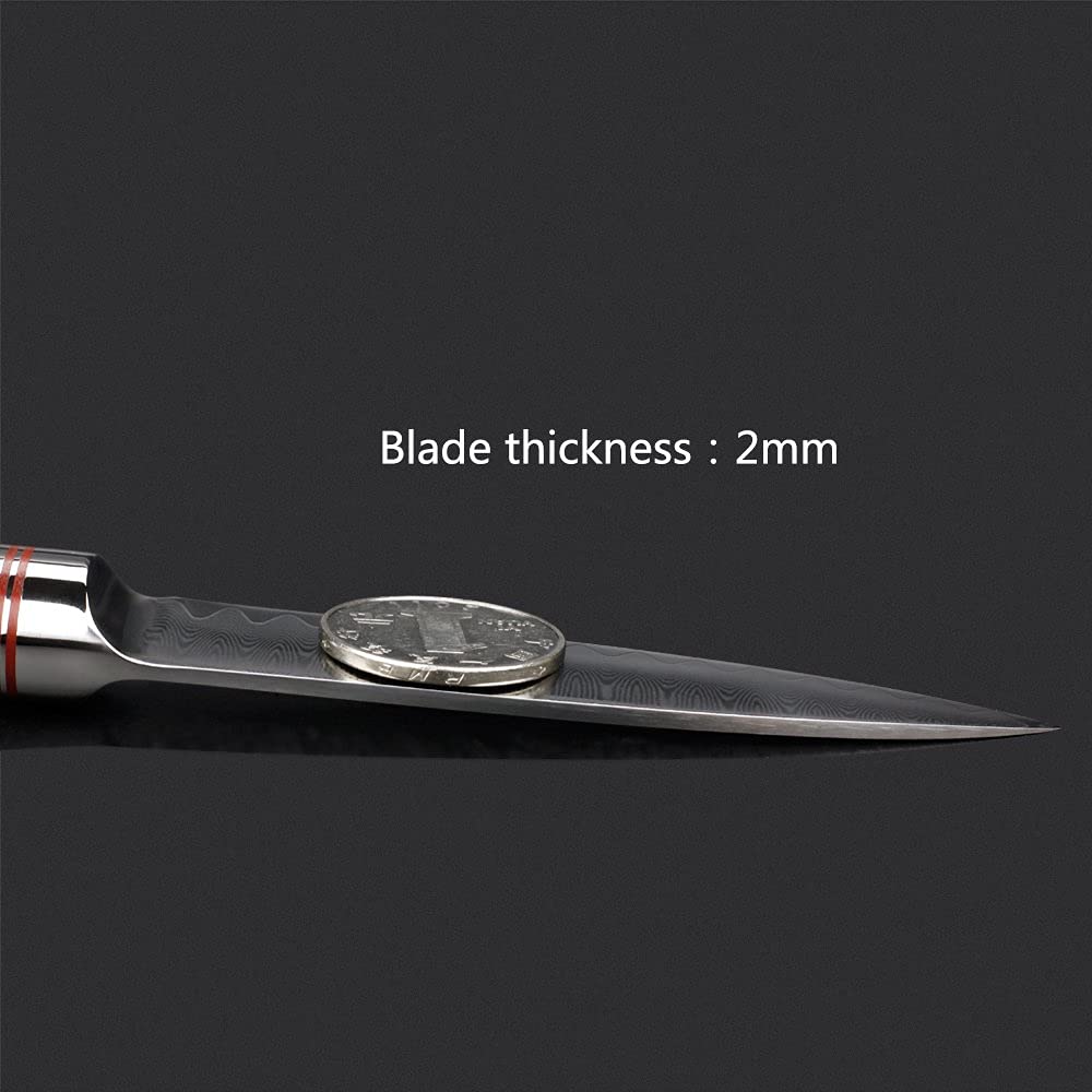 Premium 3.5 Inch Damascus Steel Paring Knife - Japanese Hammered Fruit & Vegetable Knife with Natural Bloodwood Handle - Perfect for Kitchen, Camping & Gift Giving