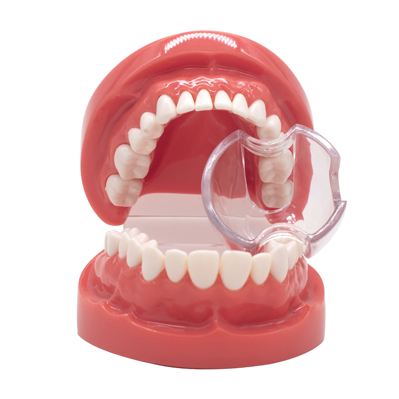 5 Pcs Clear Dental Mouth Opener & Cheek Retractor - Plastic Lip Spreader for Posterior Teeth | Dental Tools for Dentists, Orthodontists & Home Oral Care