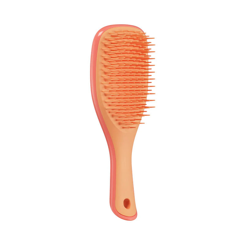Tangle Teezer Ultimate Detangler Mini Hair Brush - Compact Detangling Hairbrush for Wet & Dry Hair - Perfect for Travel, Kids, and On-the-Go Styling