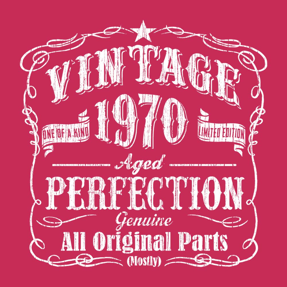 52nd Birthday Gift T-Shirt for Men - Vintage 1970s Style Funny 52 Year Old Birthday Shirt - Perfect for Dad, Husband & Grandpa Birthday Parties