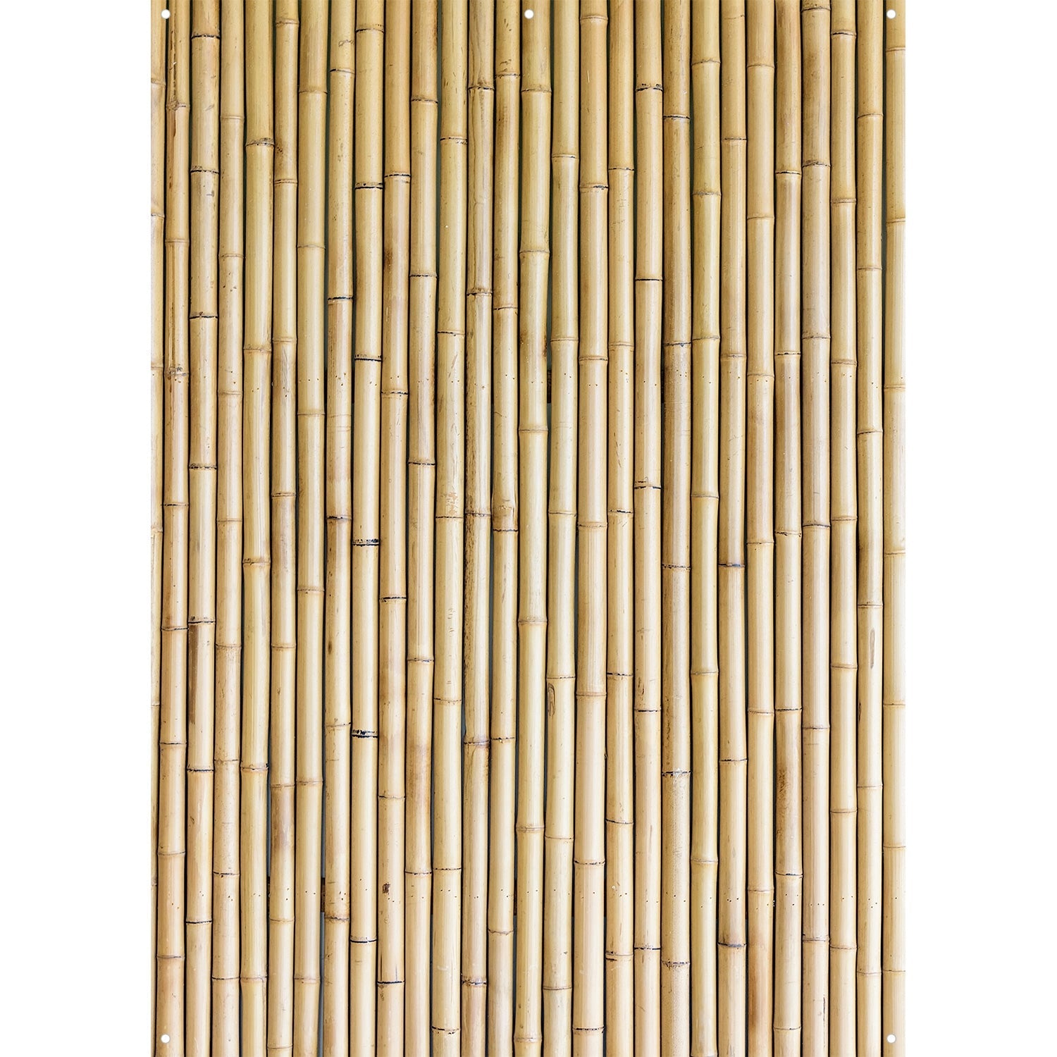 X Drop Canvas Backdrop - Tan Bamboo (5' x 7') | Photography Background for Studio, Portrait & Product Shoots | Durable & Wrinkle-Resistant