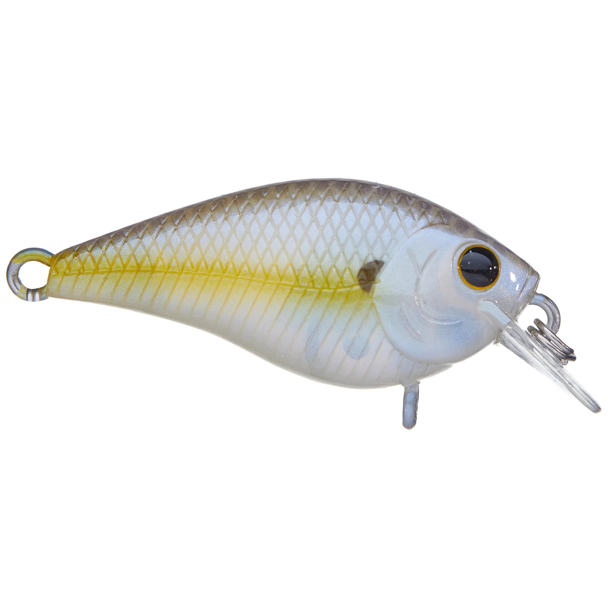 BP Golden Shiner