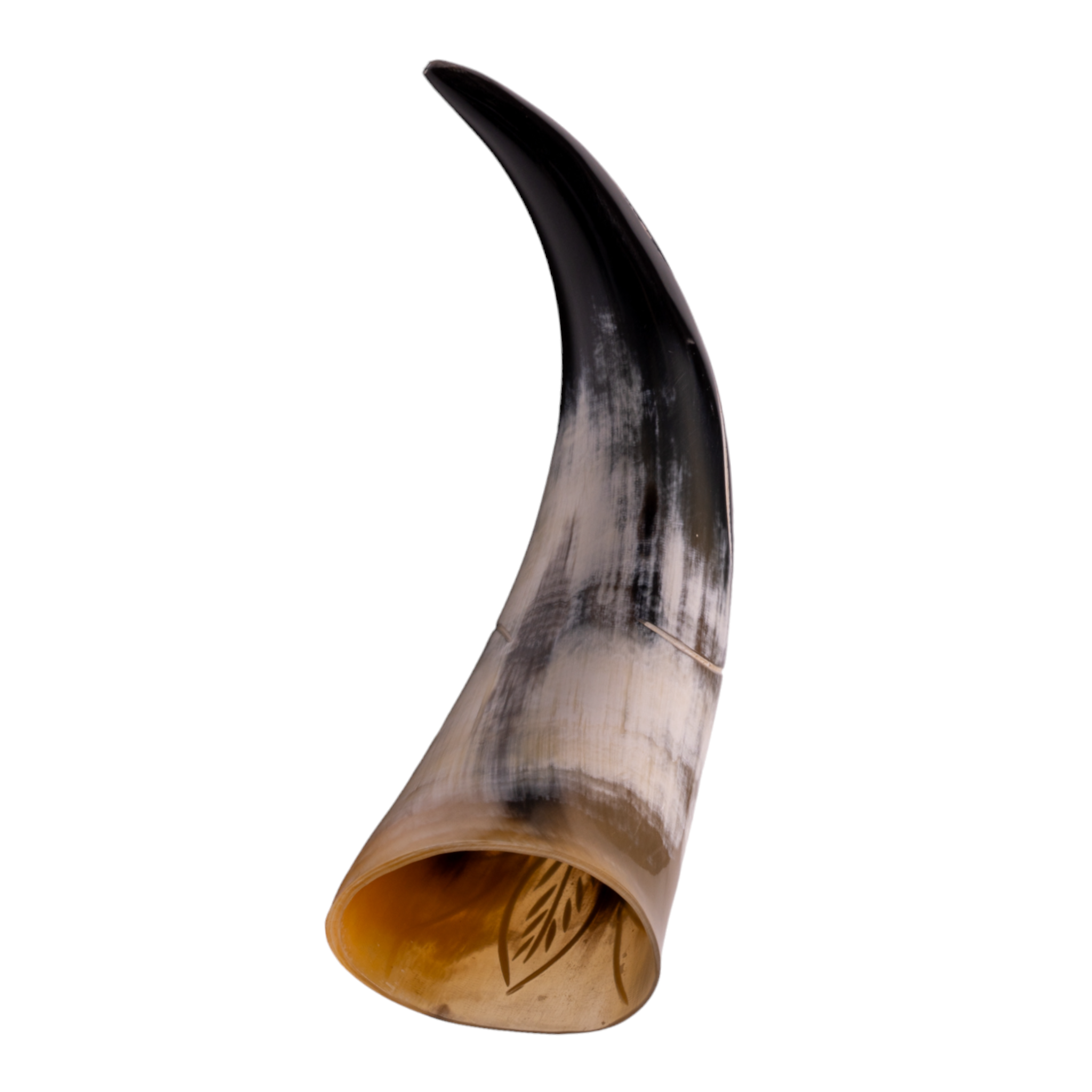 Authentic Water Buffalo Carved Horn with Floral Design - Handcrafted Home Decor & Unique Gift for Weddings, Anniversaries, and Rustic Interior Styling