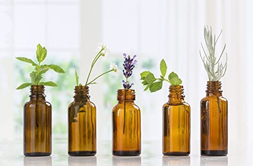 100% Pure Cilantro Essential Oil - Aromatherapy Grade, USDA Organic, 4 Fl Oz by Nature's Note Organics - Perfect for Diffusers, Massage & DIY Skincare