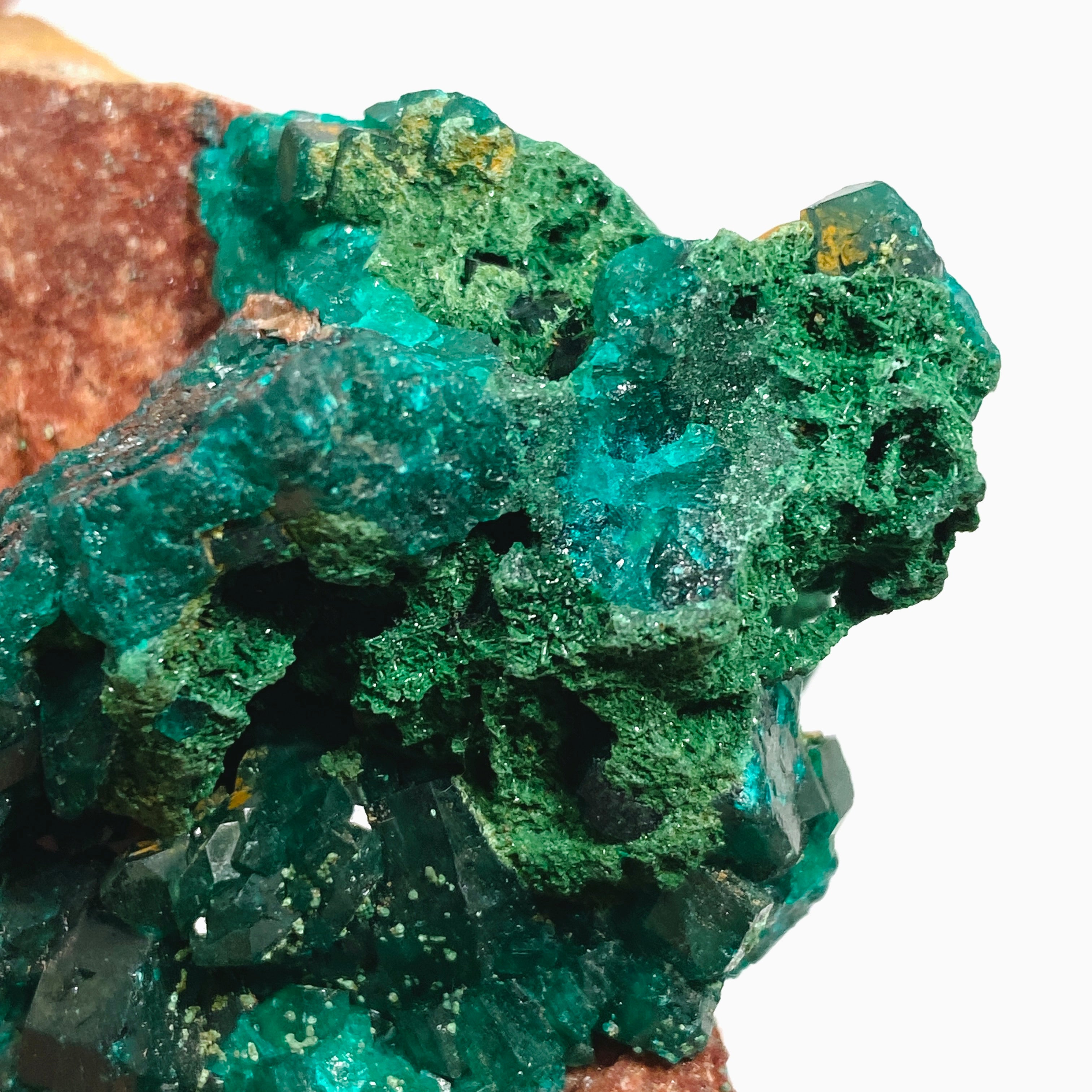 Natural Dioptase with Malachite Crystal Specimen from Congo CR3746 - Perfect for Mineral Collectors & Home Decor