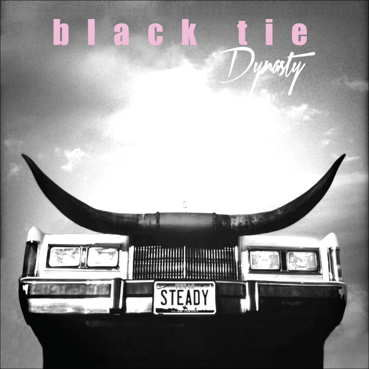 Black Tie Dynasty Steady - Elegant & Stylish Men's Formal Wear for Weddings, Prom & Special Occasions