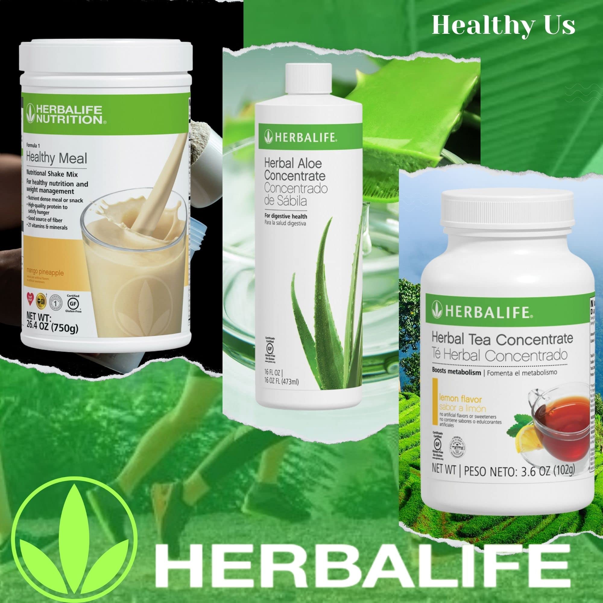 HERBALIFE Trio Combo: Formula 1 Nutritional Shake Mix (Mango Pineapple 750g), Herbal Aloe Concentrate (Original 473ml) & Herbal Tea Concentrate (Lemon 102g) - Healthy Meal Replacement & Wellness Boost for Weight Management, Energy & Digestion Support
