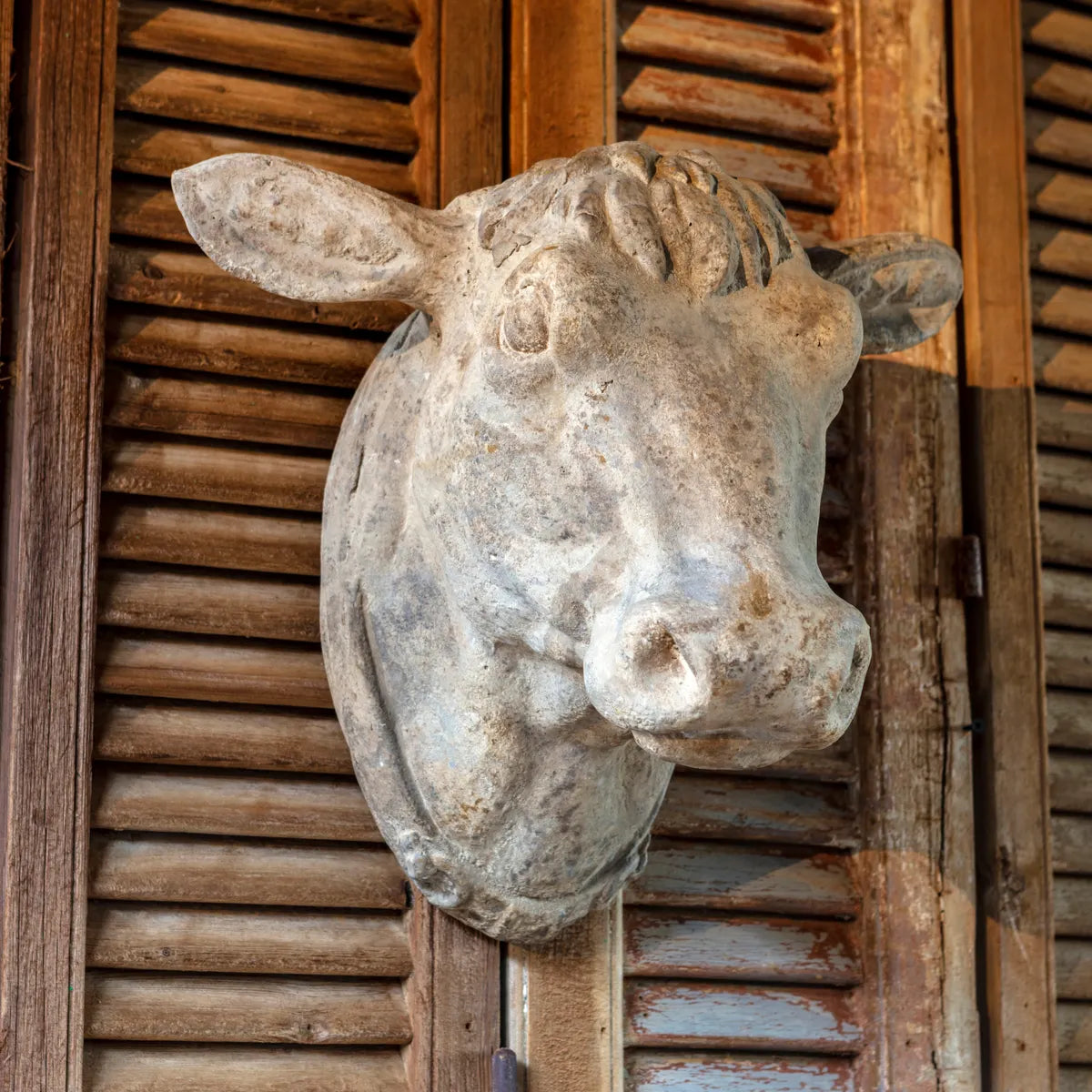 Vintage Rustic Cow Head Wall Decor - Farmhouse & Western Home Decor for Living Room, Bedroom, or Cabin