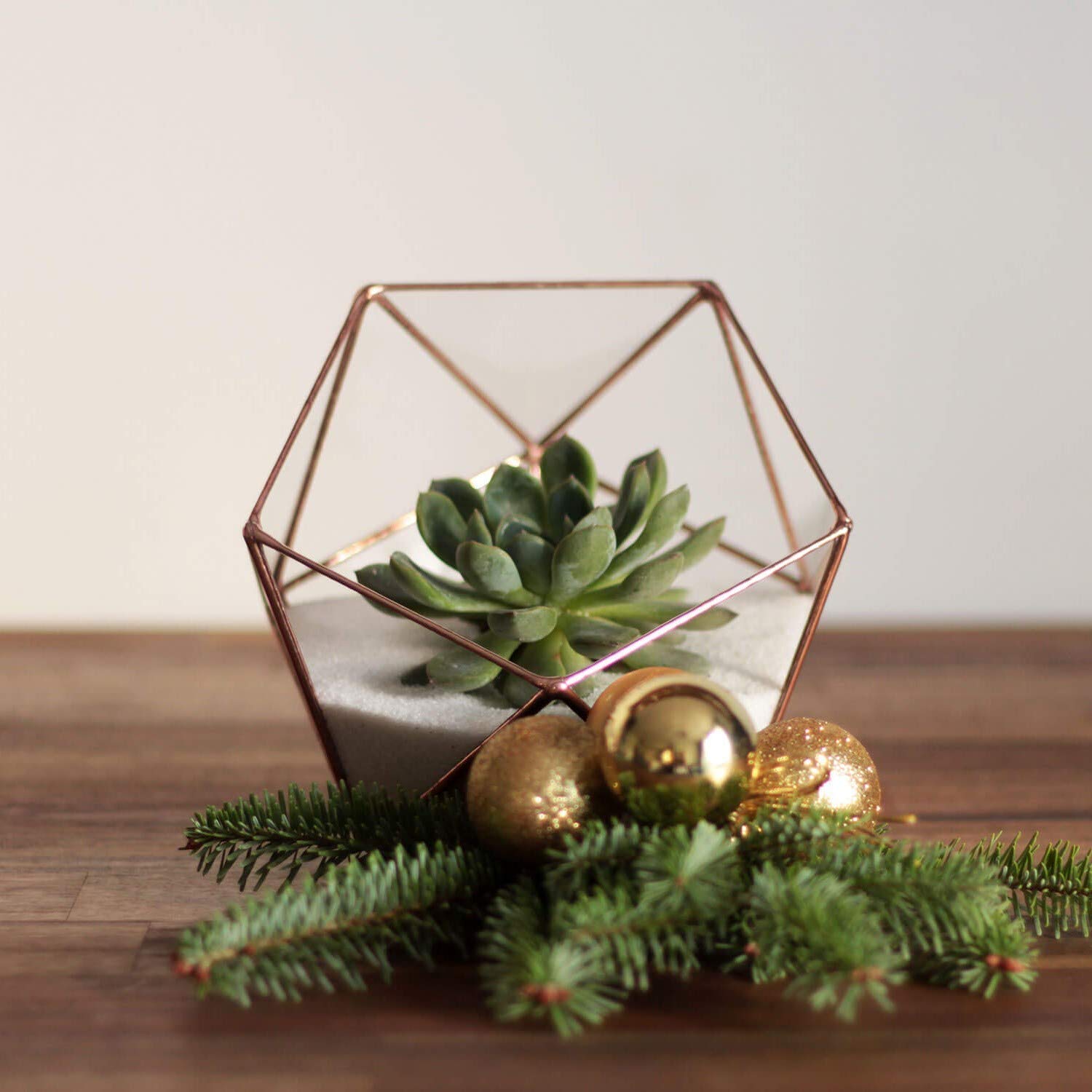 Clear Glass Geometric Terrarium Container - Modern Icosahedron Planter for Succulents & Air Plants | Home & Living Room Decor | Wedding Table Centerpiece & Reception Decor (Copper, Silver, Black) | Perfect for Indoor Plant Display, Office Desk Decor, and Gift Giving