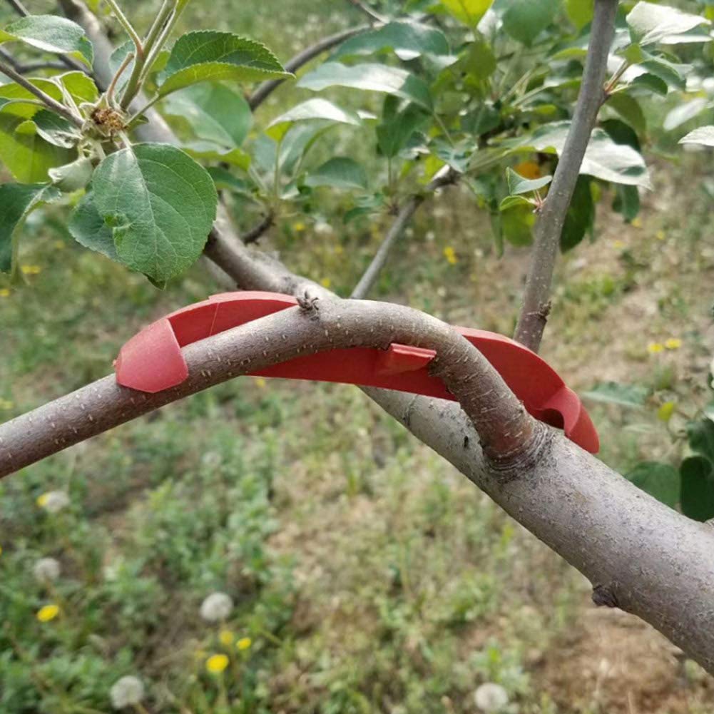 Haofy Plant Support Bender Clips - 10 Pack Plastic Plant Fixing Clamps for Fruit Tree Branches (150cm x 10cm, Red) - Ideal for Tomato, Grape, and Vine Support in Gardens