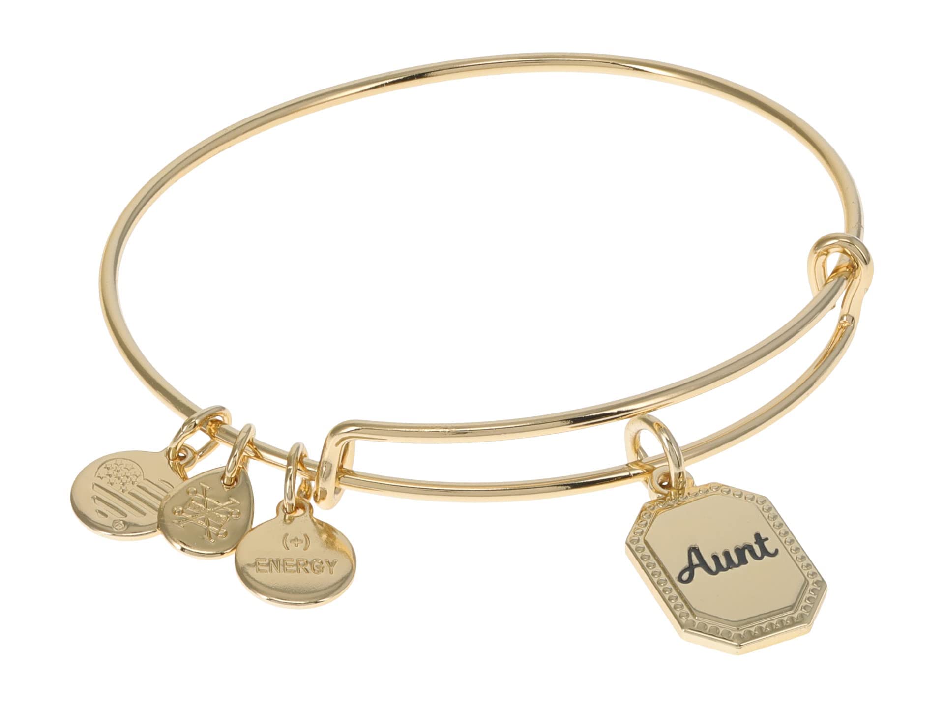 Alex and Ani Aunt Bracelets - Elegant Charm Bracelets for Women, Meaningful Gifts for Aunts, Sisters & Loved Ones | Perfect for Birthdays, Anniversaries & Special Occasions