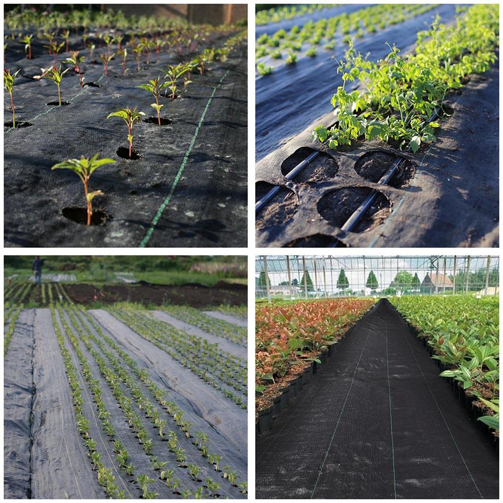 Premium 3ft x 250ft Weed Block Landscape Fabric - Heavy Duty 5.6oz Woven Polypropylene Ground Cover for Gardens, Lawns & Landscaping - Durable Weed Control Barrier for Flower Beds, Vegetable Gardens & Pathways