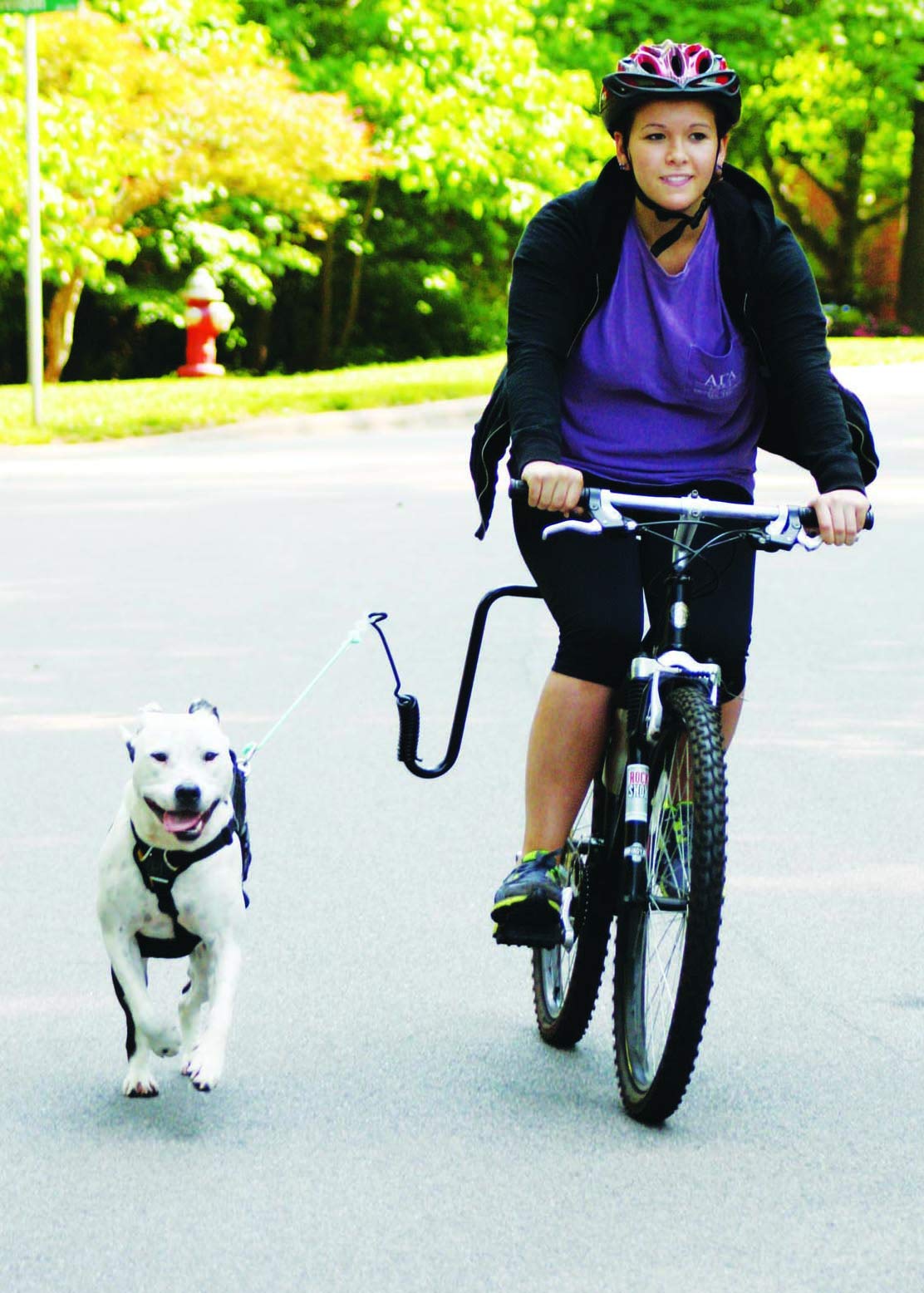Springer Hands Free Dog Leash Bike Attachment Kit - Adjustable Pet Exerciser for Running, Walking & Jogging - Universal Bicycle Mount with Quick Release - 18-Inch Durable Rope - Perfect for Outdoor Adventures & Active Dog Owners