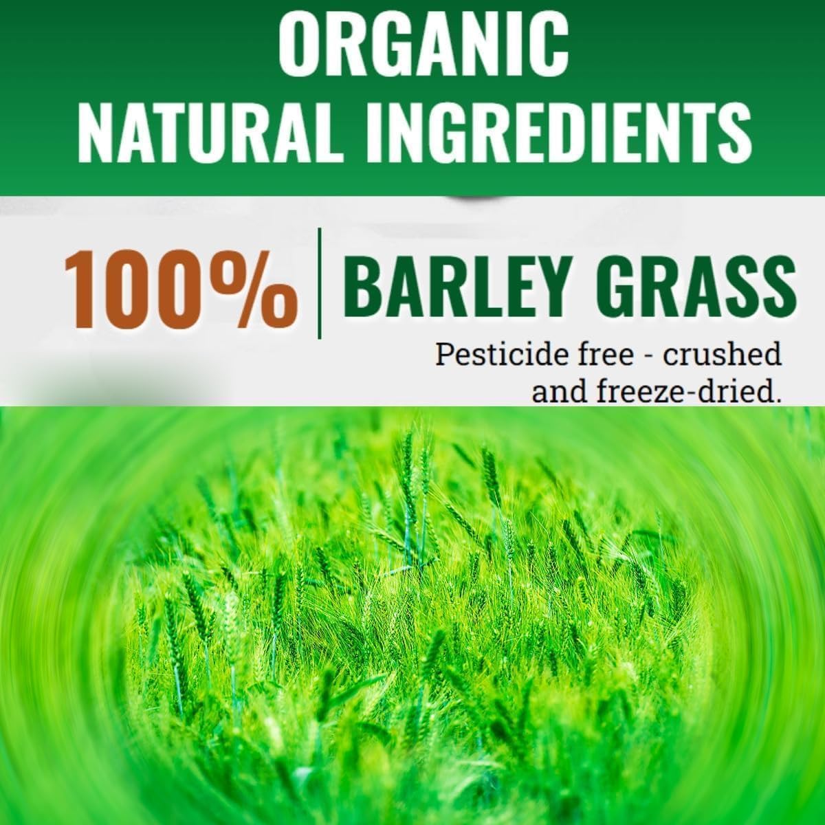 Naveta Organic Barley Grass Powder - Pure & Natural Superfood for Detox & Energy Boost (5 Boxes/100 Packs) | Ideal for Smoothies, Juices & Wellness Drinks