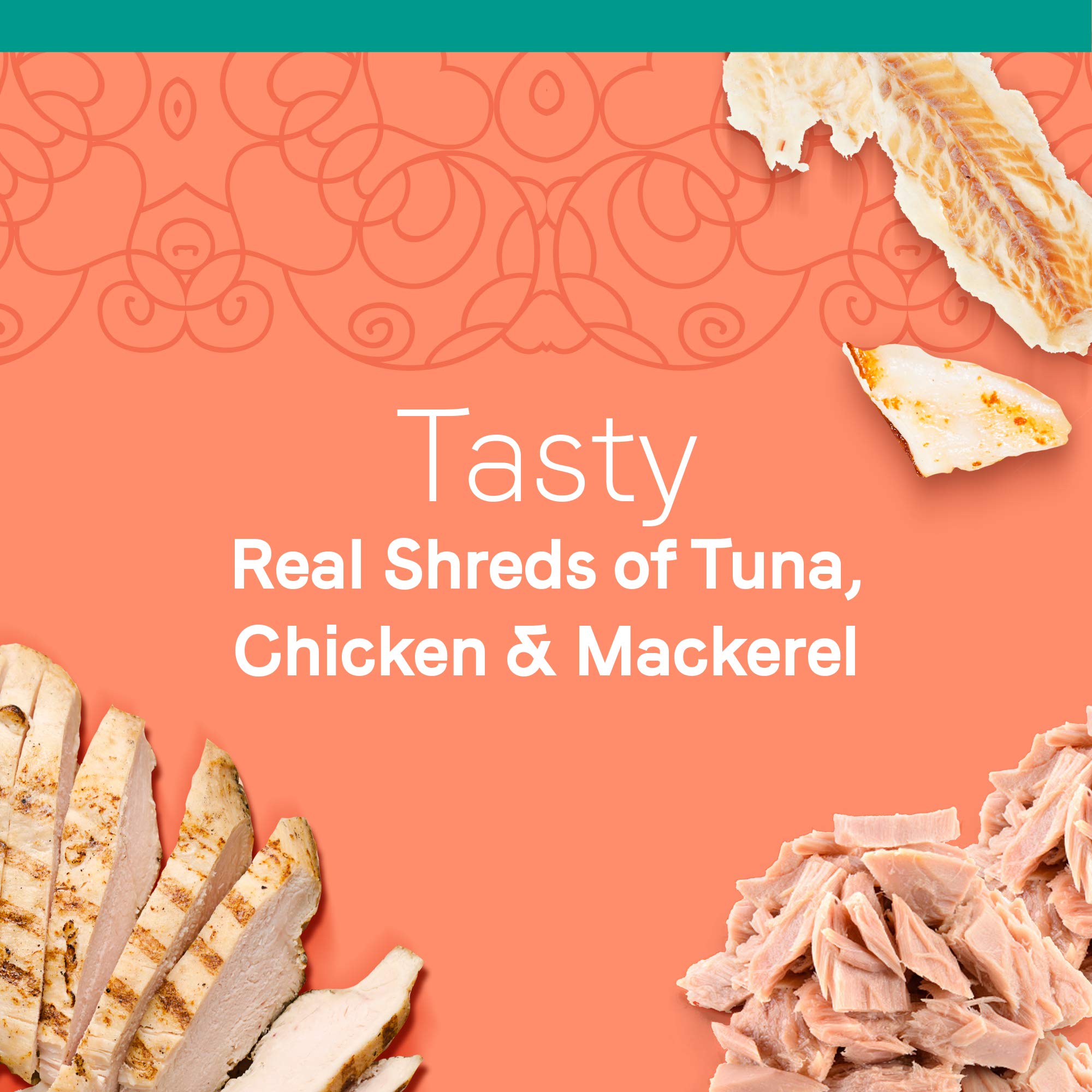 Premium Grain-Free Cat Food Bundle - CANIDAE Healthy Weight Tuna Recipe Dry Food (5lb) + Wet Food Variety Pack (24x2.46oz) with Tuna, Chicken & Mackerel - Perfect for Indoor Cats & Weight Management