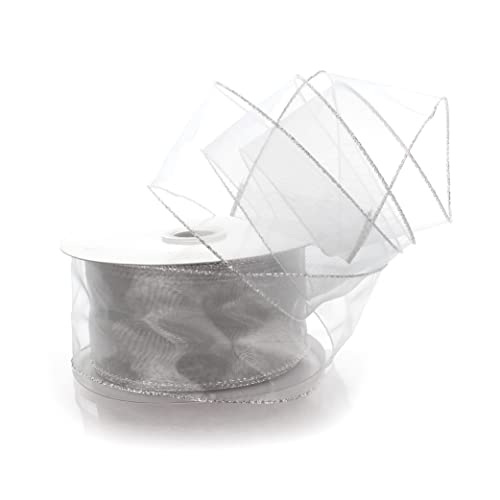 009 Silver HBC