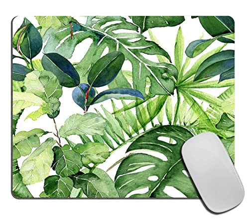 Tropical Palm Leaves