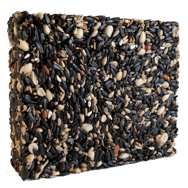 Four Seasons Seed Cake - Large Size | Premium Quality for Birthdays, Weddings & Special Occasions | Perfect Gift for Family & Friends