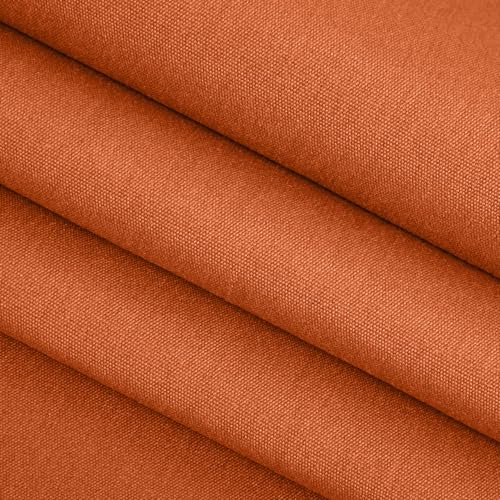 Canvas Rust