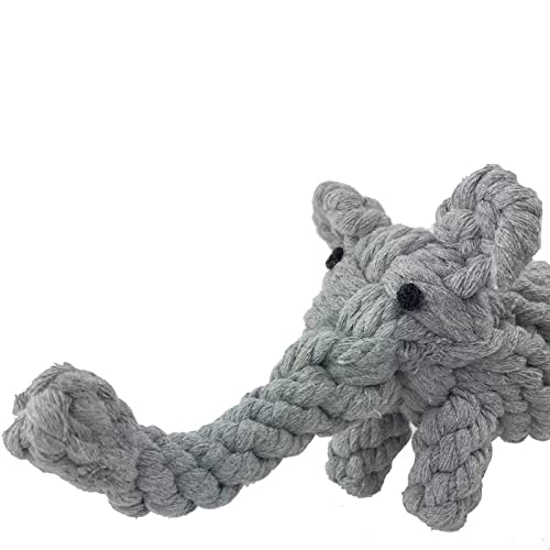 Grey Elephant