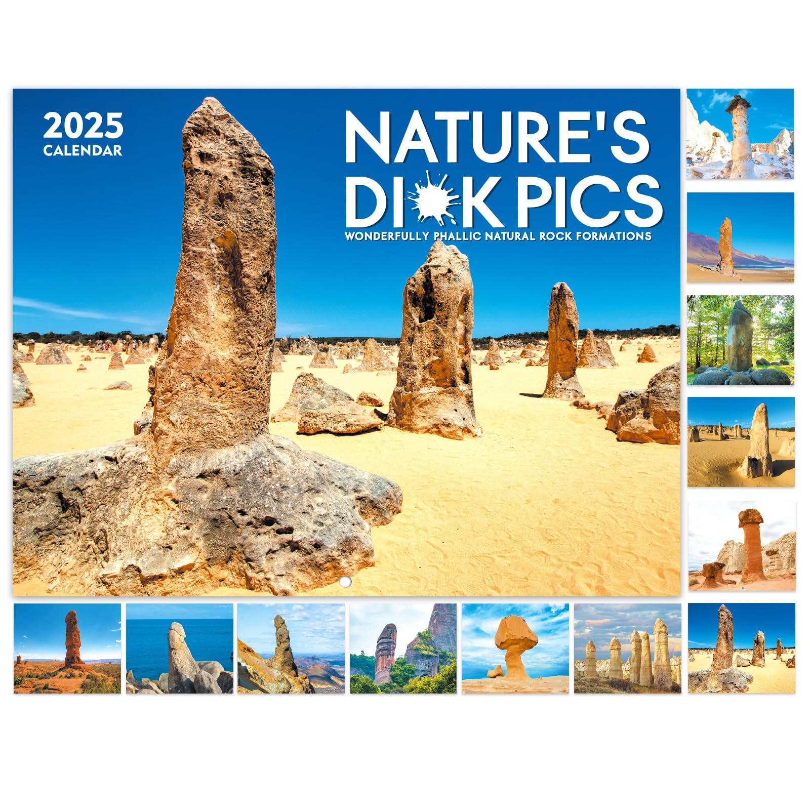 Funny 2025 Wall Calendar with Thick Paper - 8.5