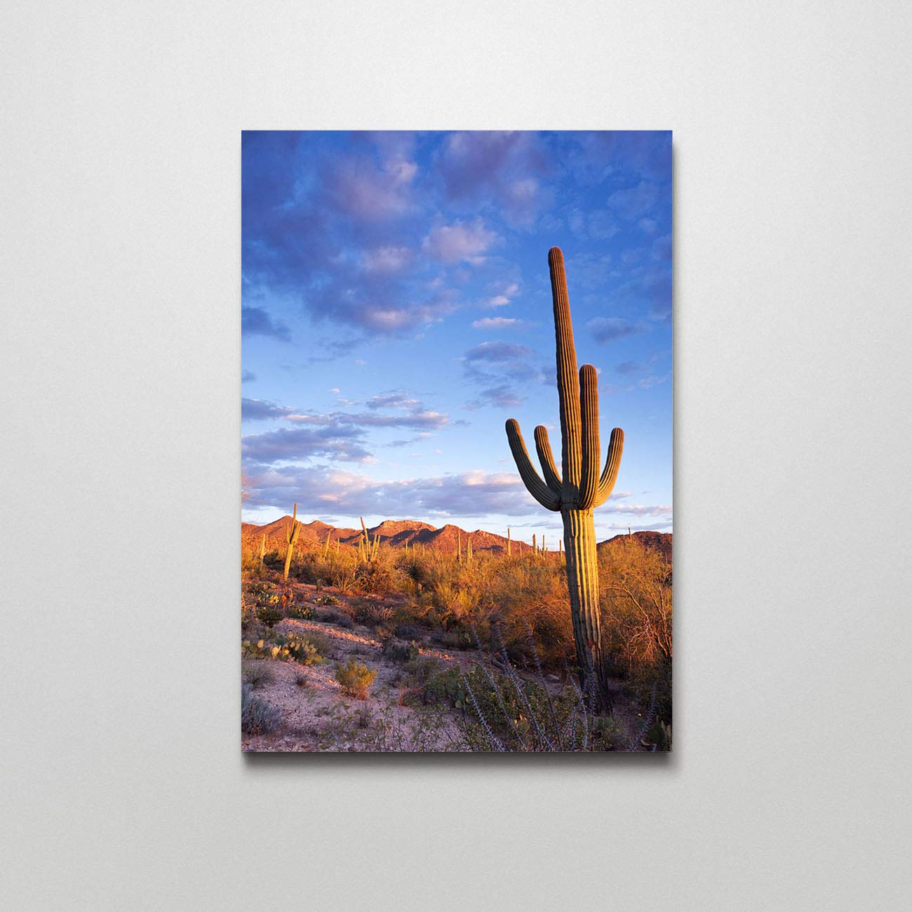 16x24 Inch Saguaro Cactus Canvas Wall Art - Sonoran Desert Landscape Painting for Living Room, Bedroom & Office Decor | Perfect Southwestern Home Decor Gift