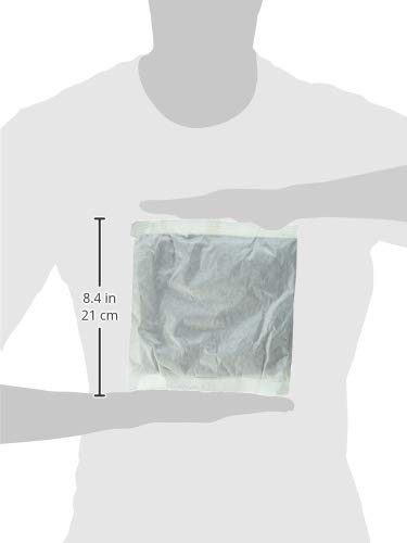 Luzianne Ready-to-Brew Iced Tea Bags - 32 Filter Pack (4oz) for Refreshing Homemade Iced Tea - Perfect for Summer Parties, Picnics & Family Gatherings