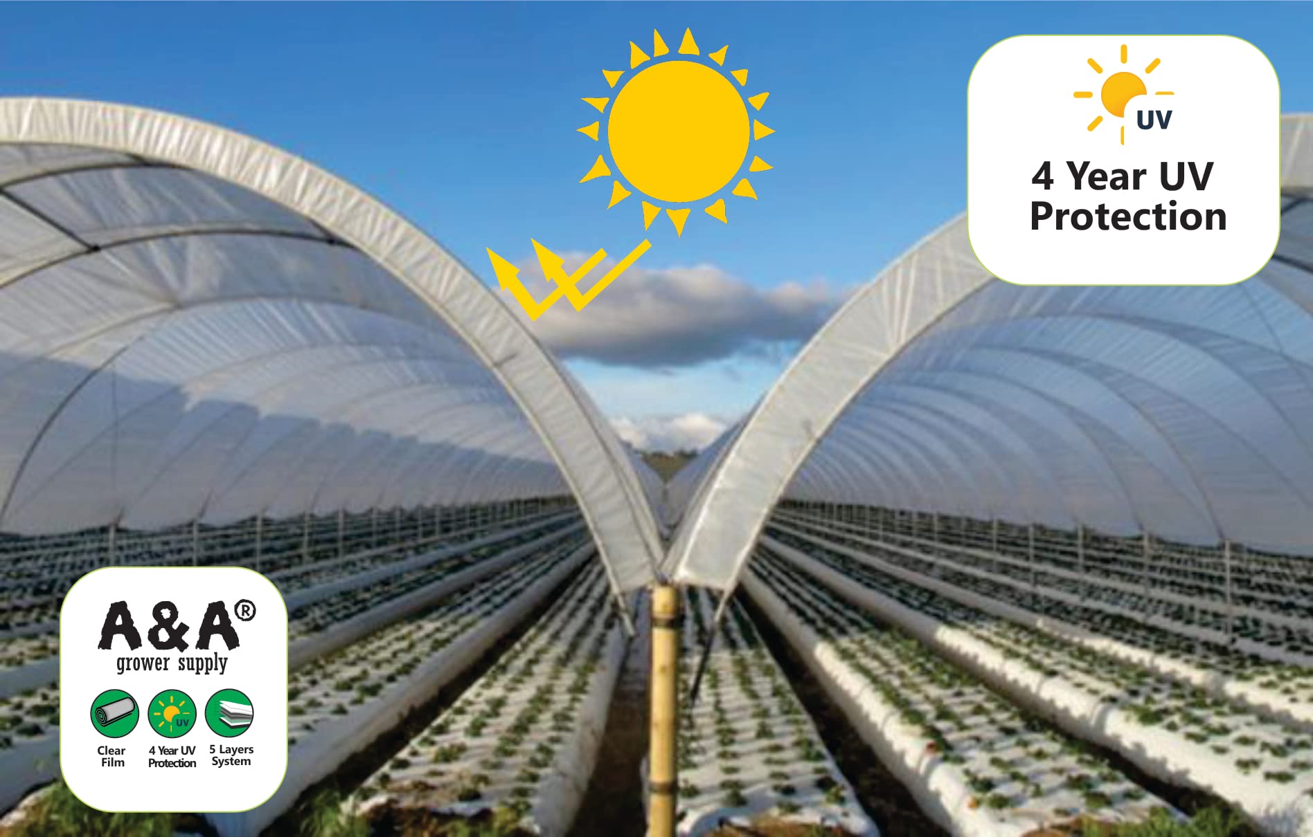 **A&A Green Store 4-Year 6 mil UV-Resistant Clear Greenhouse Plastic Film (25' x 40') – Durable Polyethylene Cover for Plant Protection & Gardening**    *Use Cases: Ideal for greenhouses, garden beds, plant shelters, and DIY gardening projects to extend growing seasons and protect plants from harsh weather.*