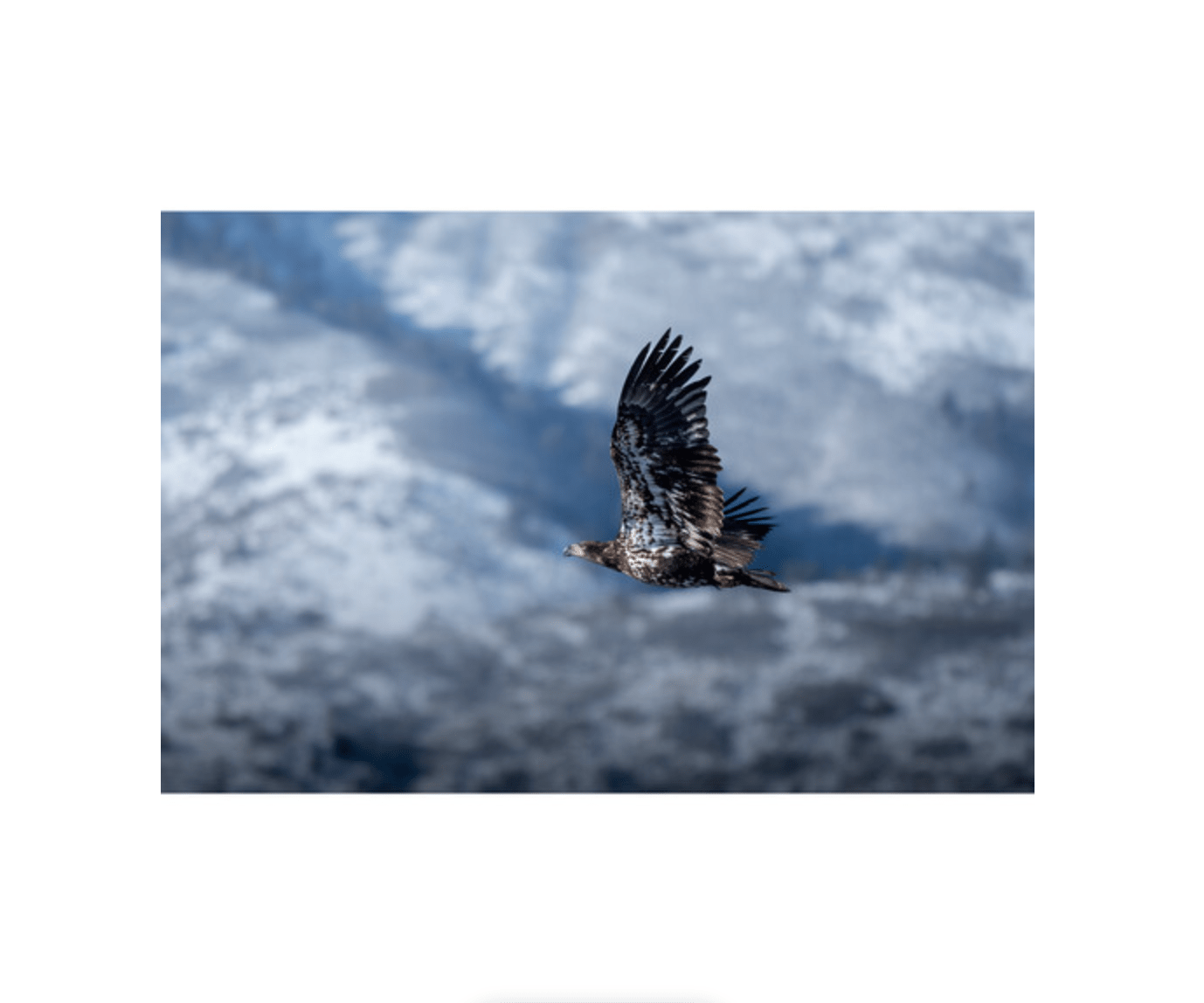 OM SYSTEM M.Zuiko Digital ED 100-400mm f/5-6.3 IS II Super Telephoto Zoom Lens for Micro Four Thirds Cameras - Perfect for Wildlife, Sports & Travel Photography