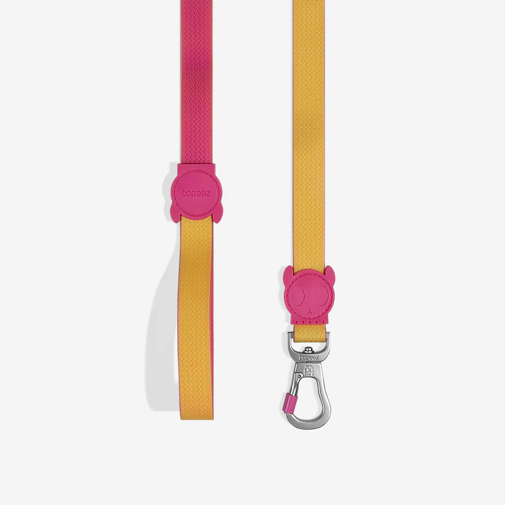 Neopro Lyra Dog Collar by Zee.Dog - Durable & Stylish Pet Collar for Small & Medium Dogs - Perfect for Walking, Training & Outdoor Adventures