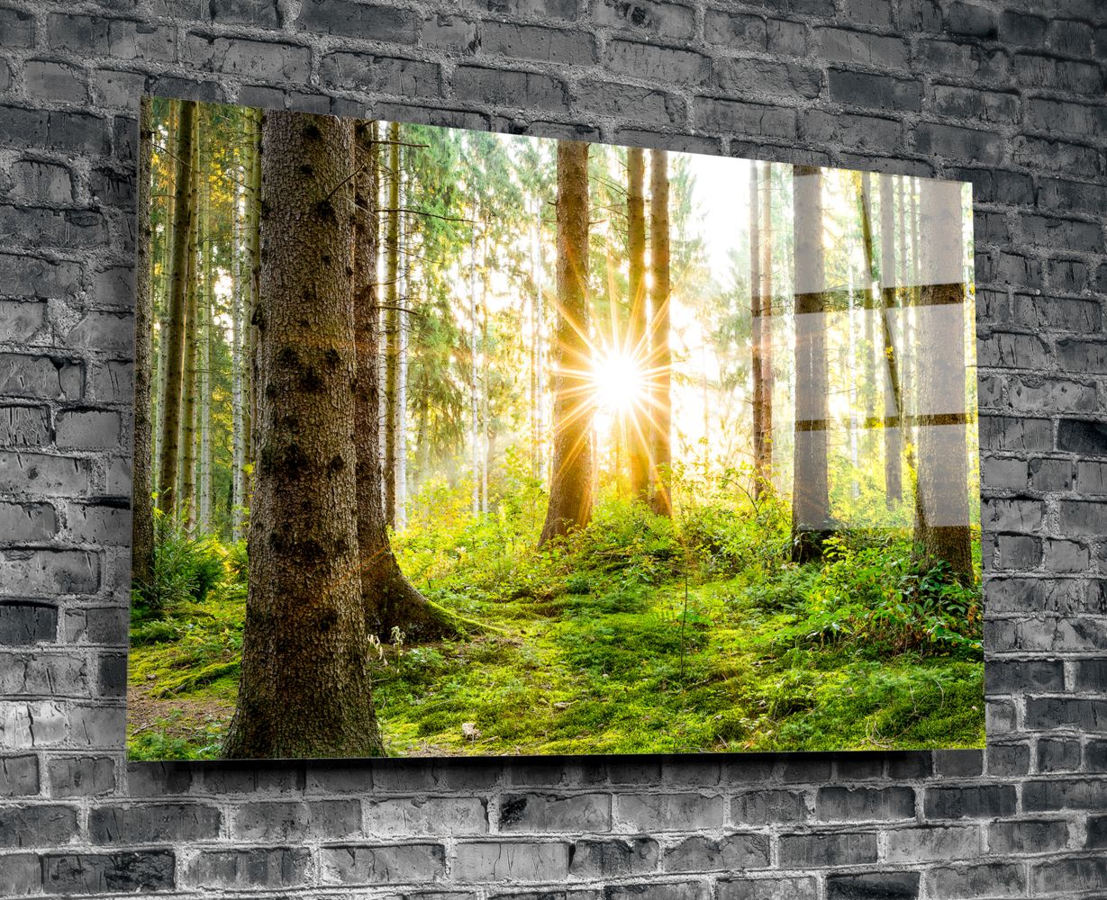 Stunning Forest Glass Print Wall Art - Nature Inspired Decor for Living Room, Bedroom & Office - Perfect for Home & Office Decor