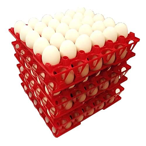 Eco-Friendly 30-Count Plastic Egg Storage Trays for Refrigerator, Incubator & Poultry - Pack of 5 | Perfect for Farm Fresh Eggs, Chicken Coops & Kitchen Organization