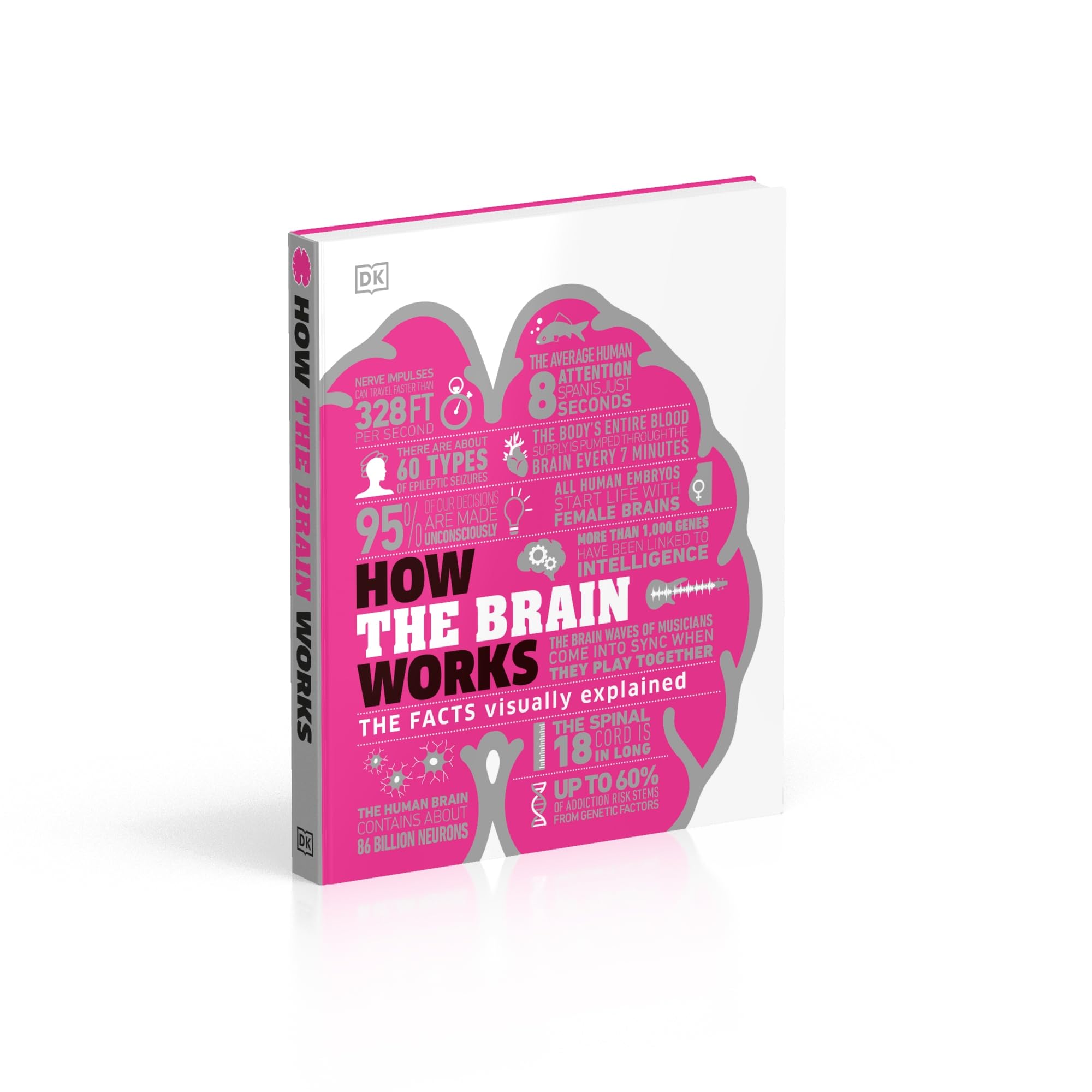 How the Brain Works: The Facts Visually Explained - DK How Stuff Works | Neuroscience Book for Students & Educators | Perfect for Learning & Teaching Human Anatomy