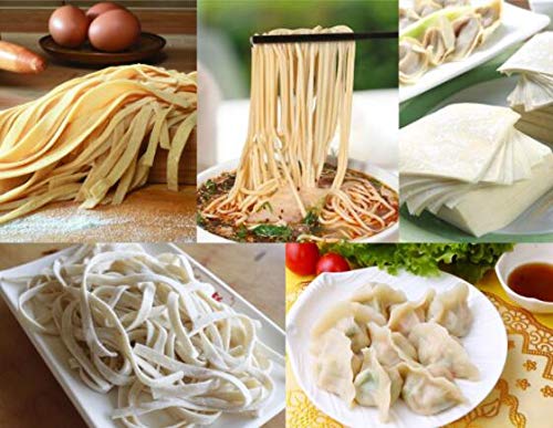 Premium Electric Pasta Maker Machine - 9-Speed Adjustable Thickness (2.5mm/4mm Blades) with Spaghetti Roller & Hanger - 220V Automatic Noodle Press for Homemade Pasta - Perfect for Italian Cuisine, Family Dinners & Restaurant Use