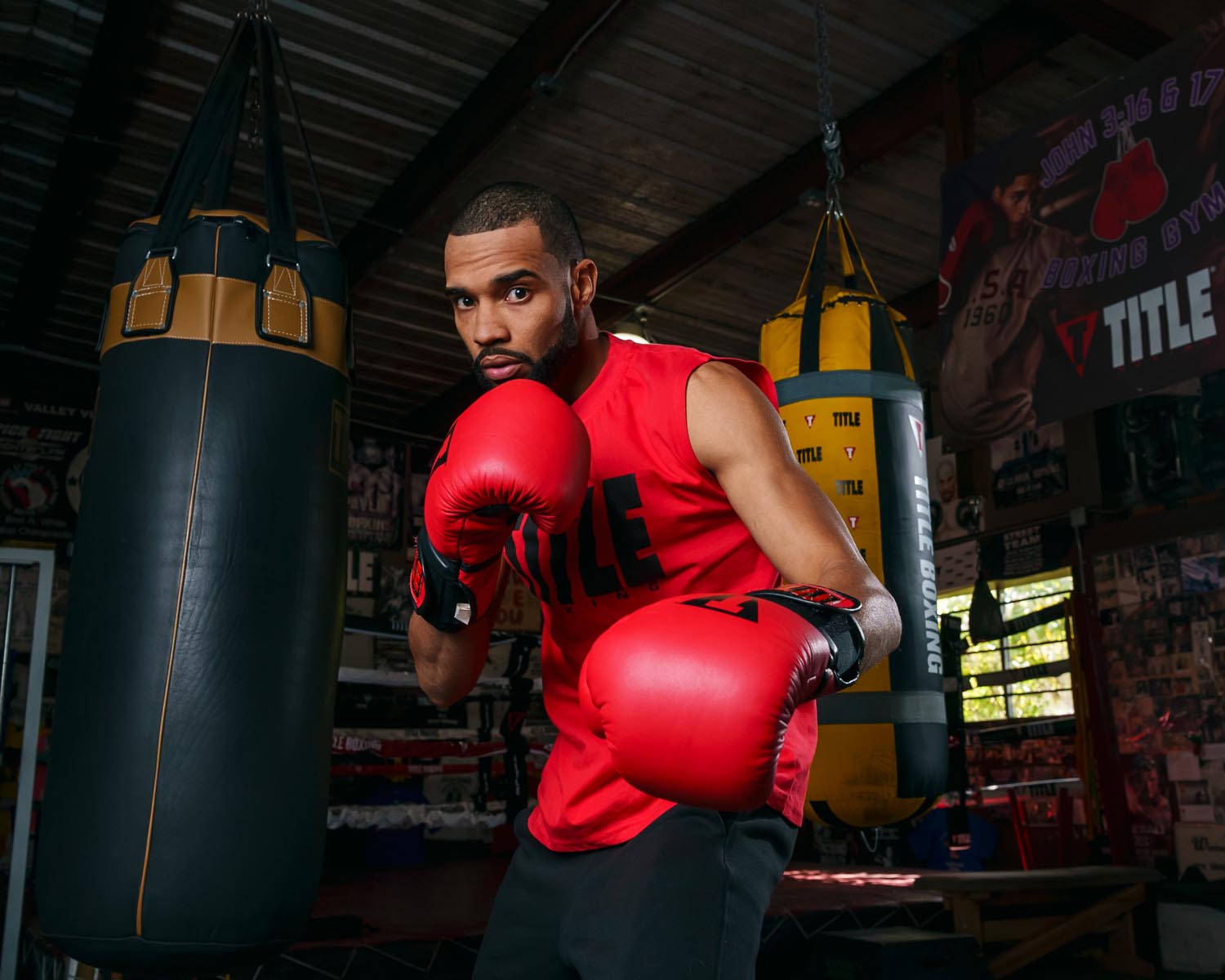 TITLE Boxing Dauntless Training Boxing Gloves for Men & Women - Premium MMA, Kickboxing, and Heavy Bag Workouts - Ideal for Gym, Home Training, and Fitness Enthusiasts