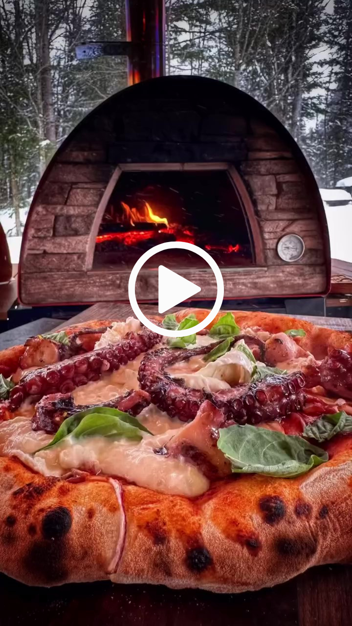 MAXIMUS PRIME Large Portable Pizza Oven - Outdoor Wood Fired Pizza Maker, Stainless Steel & Red Finish - Perfect for Backyard, Camping, Picnics and Tailgating Parties
