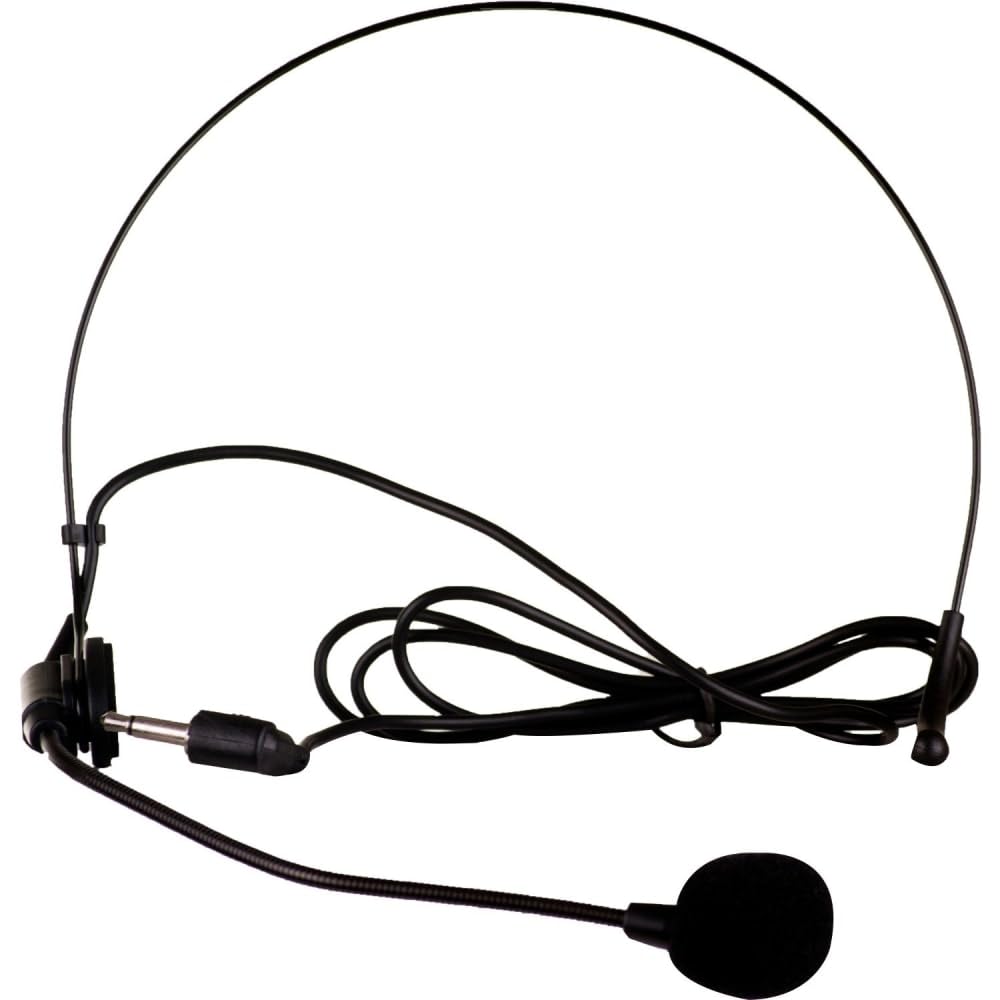 QFX M-309 Wireless Professional Microphone System with Headset & Lapel Mic - Dual Microphone Kit for Karaoke, Public Speaking & Presentations (Black)