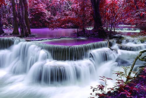 Waterfall in the Forest