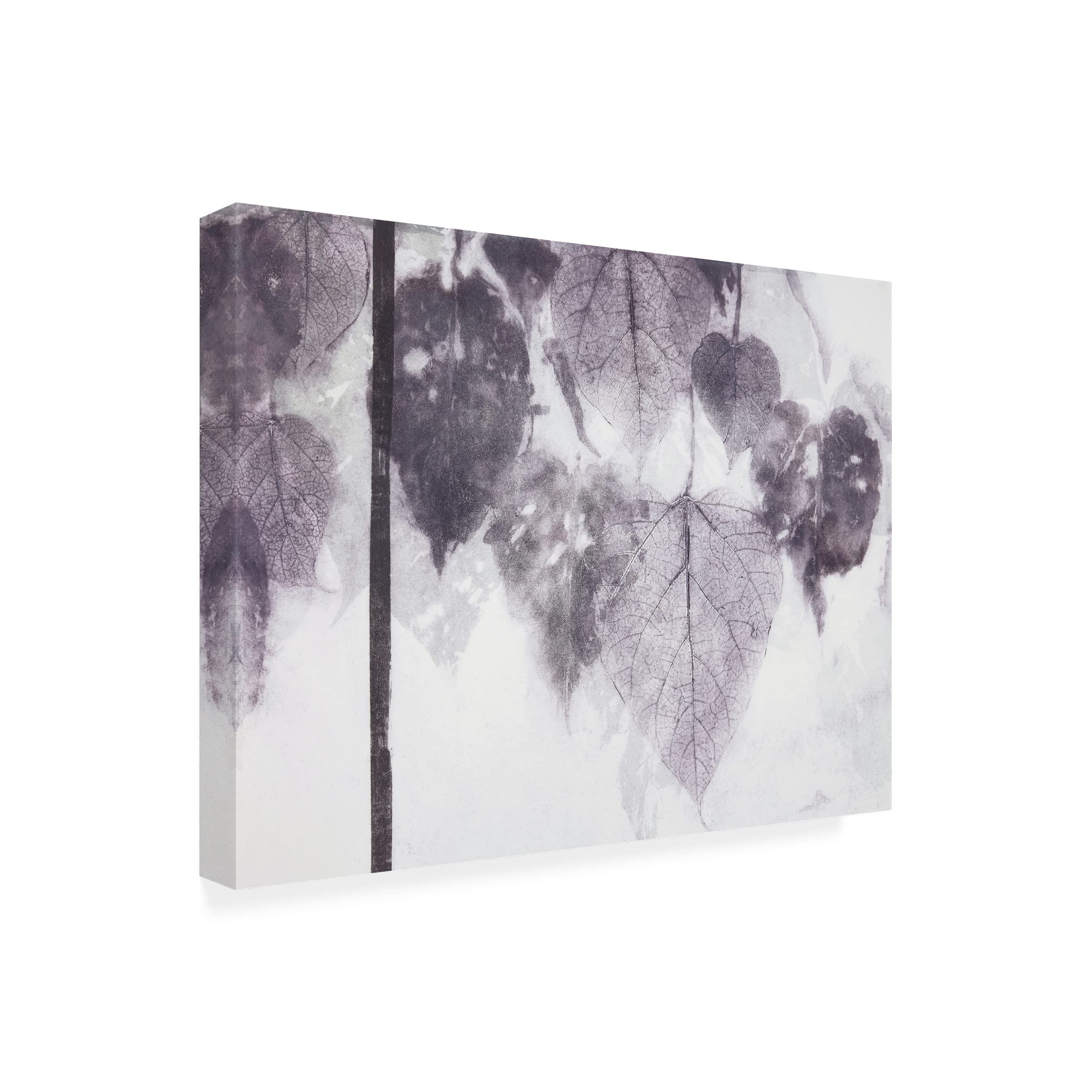 Trademark Fine Art 'Catalpa' by Cynthia MacCollum - Stretched Canvas Wall Art for Living Room, Bedroom & Office Decor