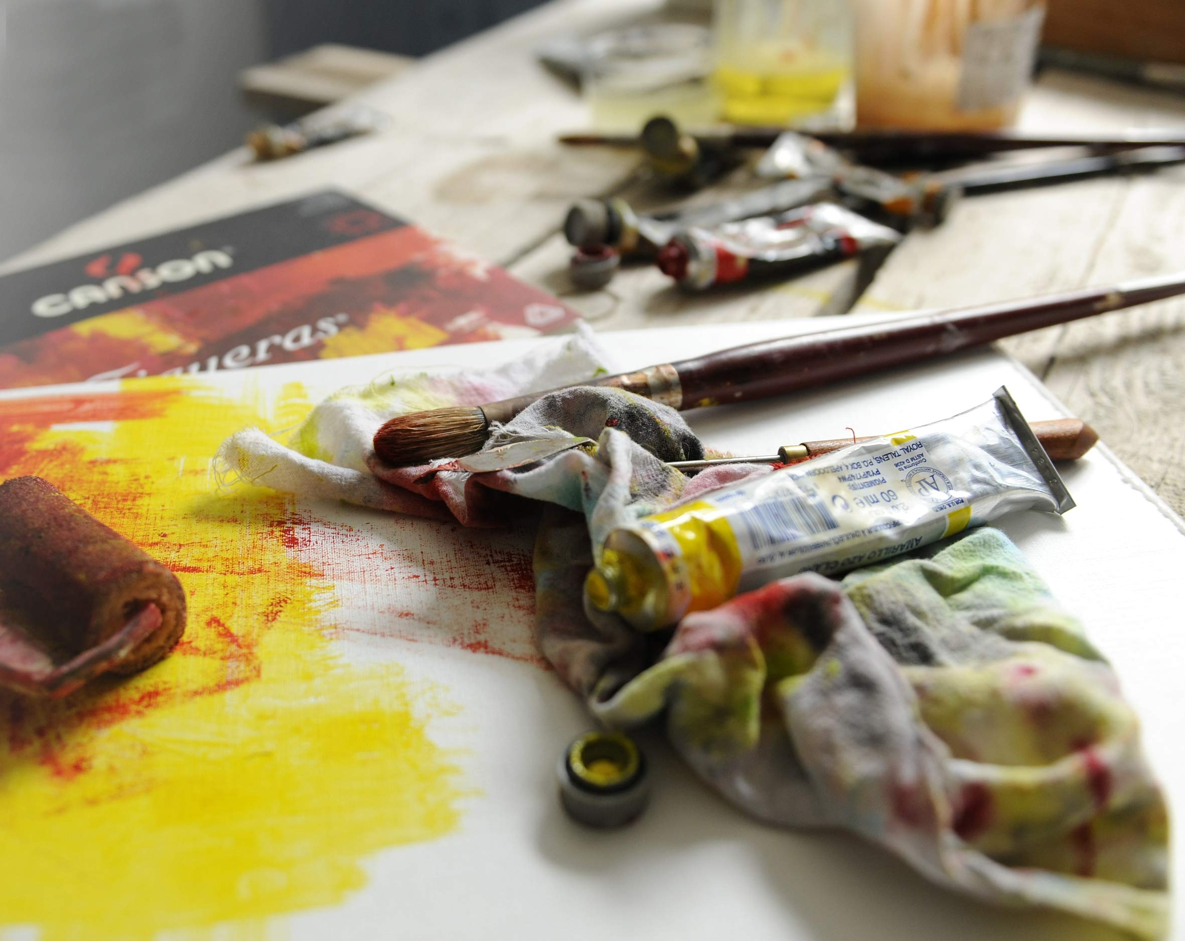 Canson Figueras 290gsm Oil & Acrylic Paper Block - 10 Sheets, 50x65cm (19.7x25.6in) - Premium Canvas-Like Texture for Professional Artists - Perfect for Oil Painting, Acrylic Art & Mixed Media Projects
