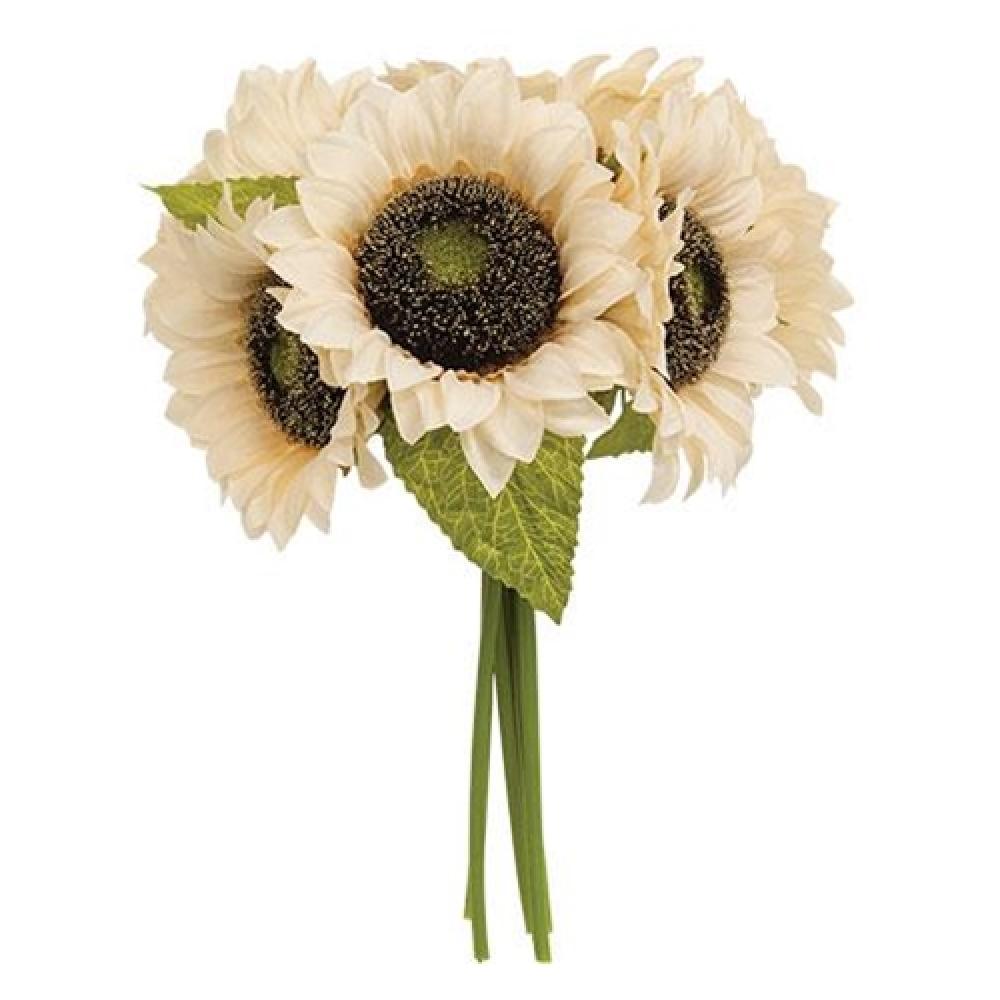 Premium Champagne Sunflowers Bouquet - Fresh Cut Flowers for Weddings, Home Decor & Special Occasions