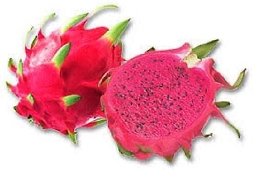 100 Red Dragon Fruit Seeds (Pitaya Pitahaya) - Hylocereus Undatus Cactus - Grow Exotic Purple Dragon Fruit at Home | Perfect for Gardeners, Indoor Planting & Tropical Fruit Lovers