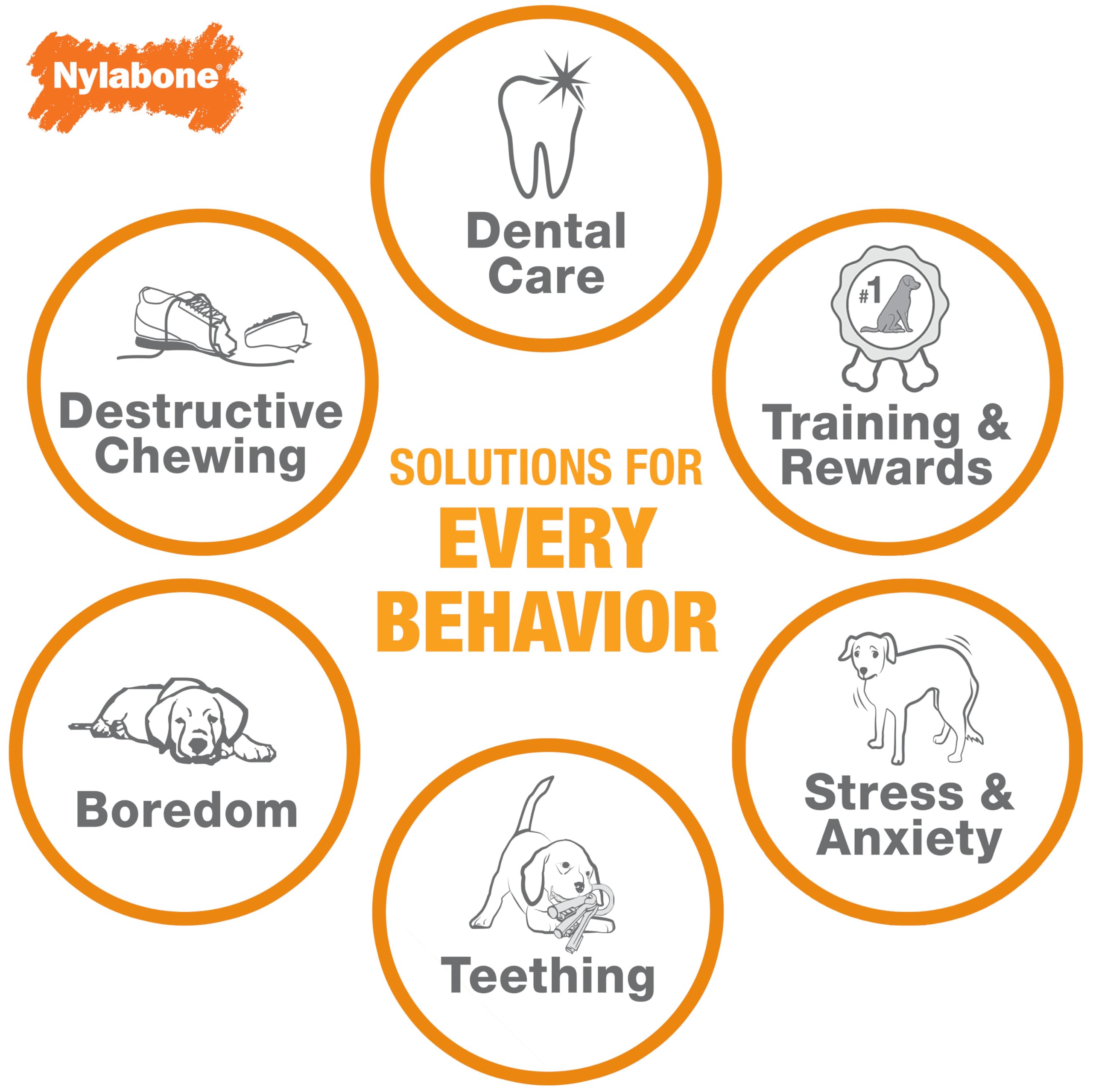 Nylabone Durable Dog Chew Toy for Aggressive Chewers - Peanut Butter Flavor, Small (Up to 25lbs) - Perfect for Playtime & Training