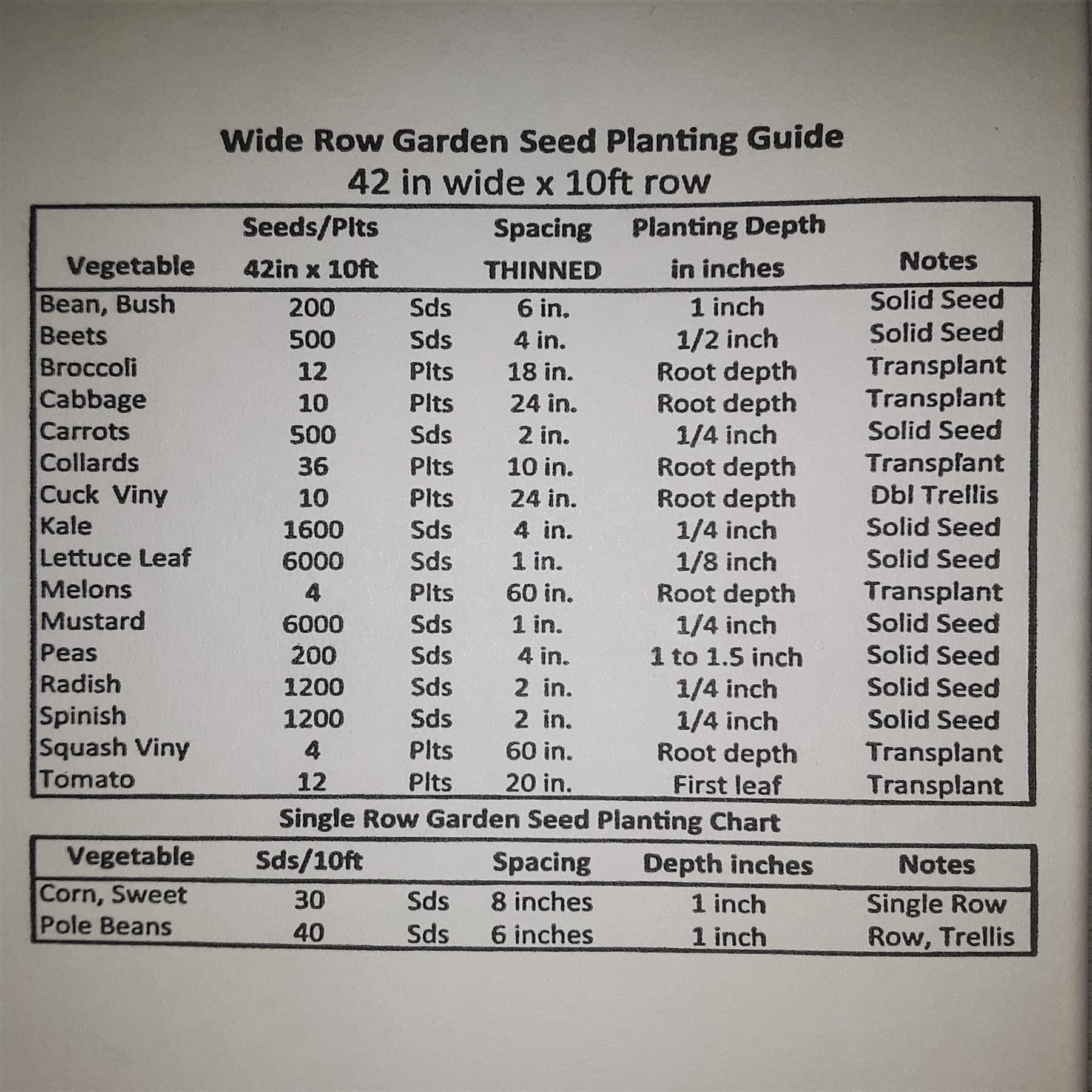 PAPAW'S GARDEN SUPPLY LLC Delicata Bush Winter Squash Seeds - 20 Count | Non-GMO, Heirloom Vegetable Seeds for Home Gardening, Fall Harvest & Organic Farming