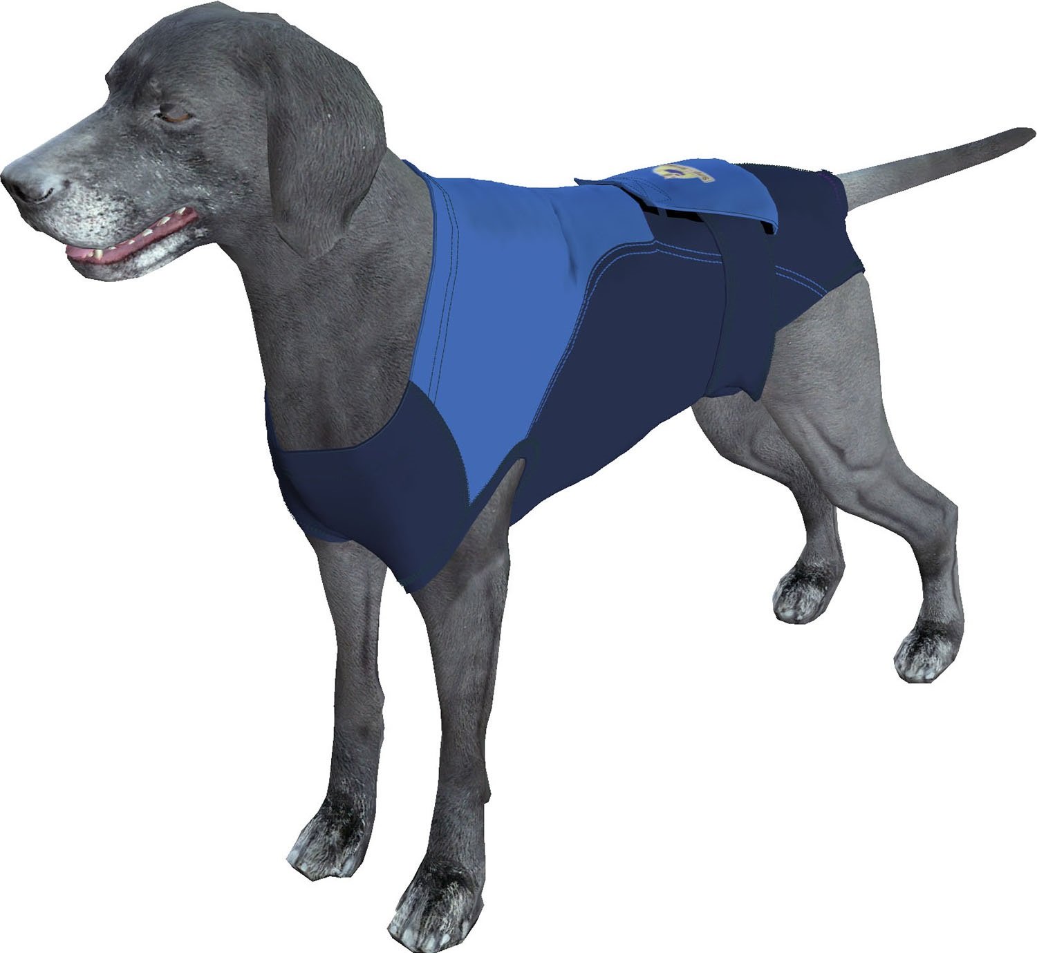 Premium Dog Diaper Cover for Female & Male Dogs - Breathable American Textile with Wrap-Around Leg Design for Perfect Fit (Size BB 2XL DK) - Ideal for Incontinence, Heat Cycles & Post-Surgery Protection