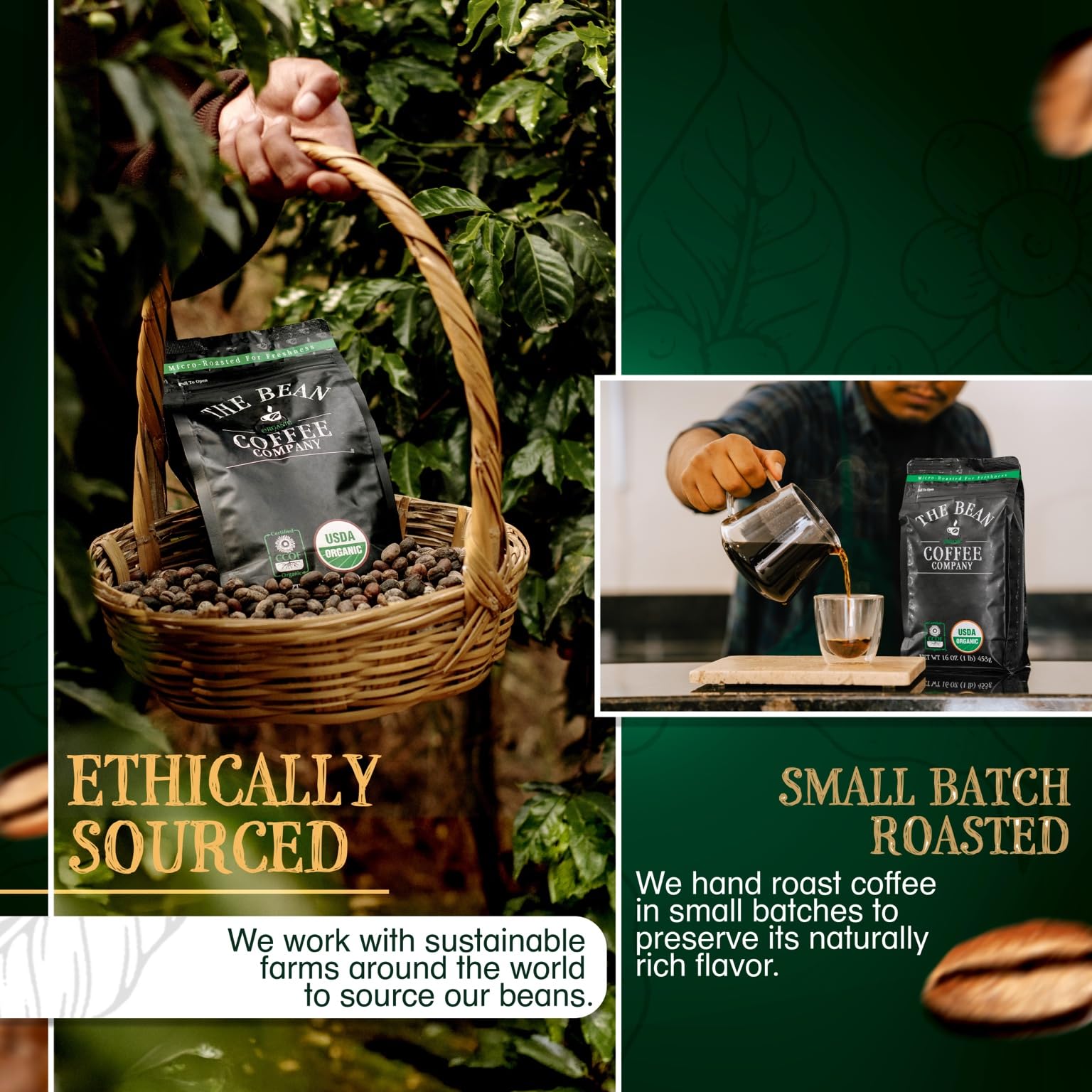 Organic Dark Roast Whole Bean Coffee - The Bean Coffee Company Christmas Blend (5 lb Bag) | Premium Holiday Coffee for Gifting, Family Gatherings & Cozy Winter Mornings
