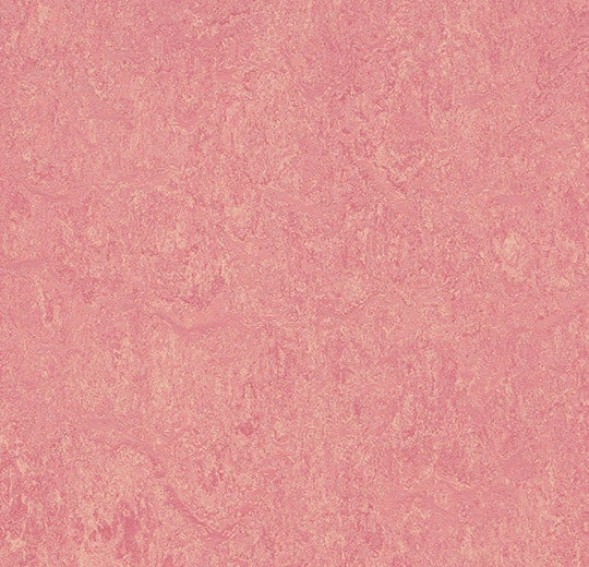 Marmoleum Cinch Loc Seal Panel - Honey Suckle 12