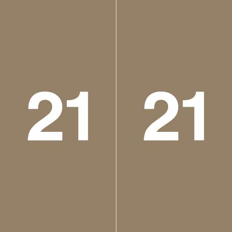 Doctor Stuff - 21 Year Labels for X-Ray Folders, Ames Large Compatible Series, Laminated Gray Stickers, 500/Roll (1-7/8