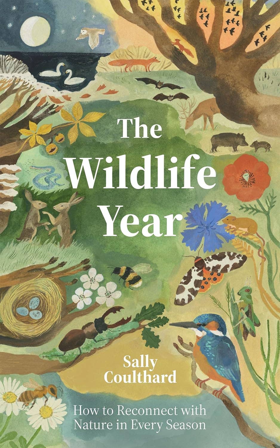 Chronicle Books Wildlife Year - Stunning Animal Photography & Nature Calendar for Home & Office Decor